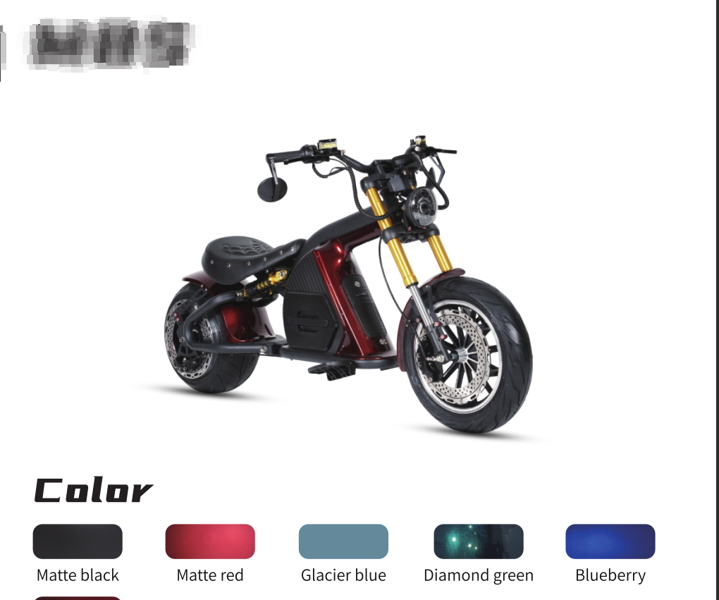 Fournisseur Premium – Vélos Électriques Custom